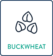 Buckwheat