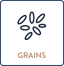 Fibre-Source-Grains