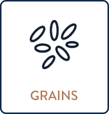 Fibre-Source-Grains Fibre-Source-Grains