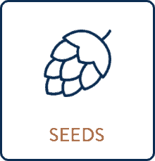 Fibre-Source-Seeds