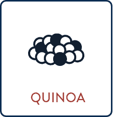 Glycemic-Index-Quinoa