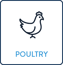 Iron-Zinc-Mag-Poultry Poultry