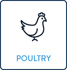 Poultry