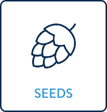 Iron-Zinc-Mag-Seeds Seeds