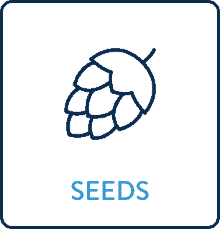 Seeds