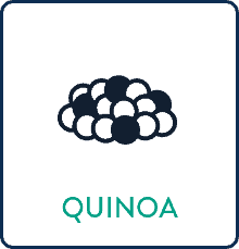 Quinoa Quinoa