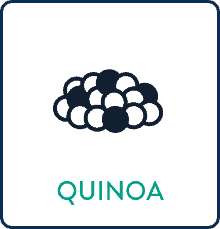 Quinoa