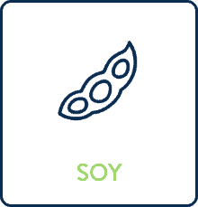 Soy